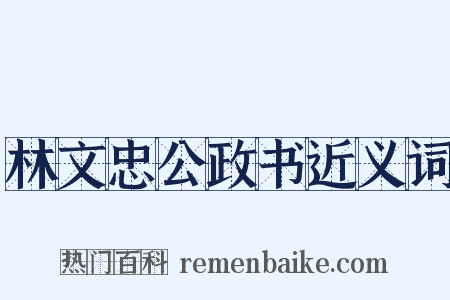 林文忠公政书近义词是什么意思的图片